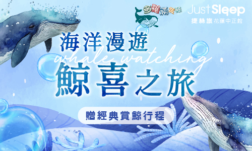 海洋生態漫遊 鯨喜之旅►贈經典賞鯨行程