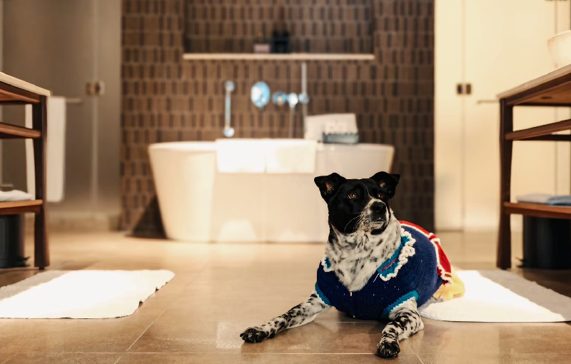 The Garden View Suite(2 King Beds) – Pet-Friendly